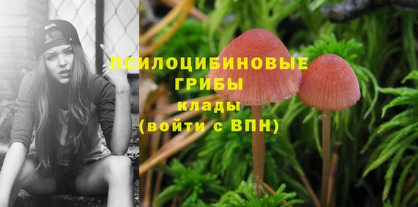 скорость Пролетарск